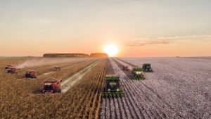 Agriculture & Natural Resources